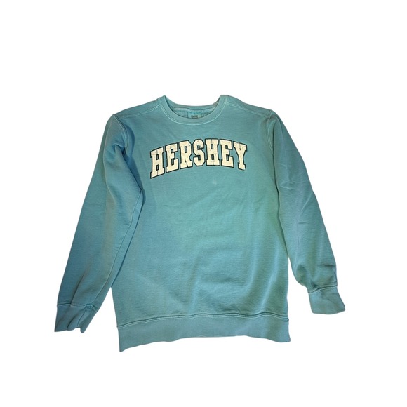 Vtg Comfort Colors Hershey Sweatshirt Small Green Garment Dye Crewneck Pullover - Picture 3 of 8
